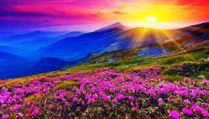 Valley Of Flowers National Park 2023 in Hindi | फुलों की घाटी राष्ट्रीय उद्यान