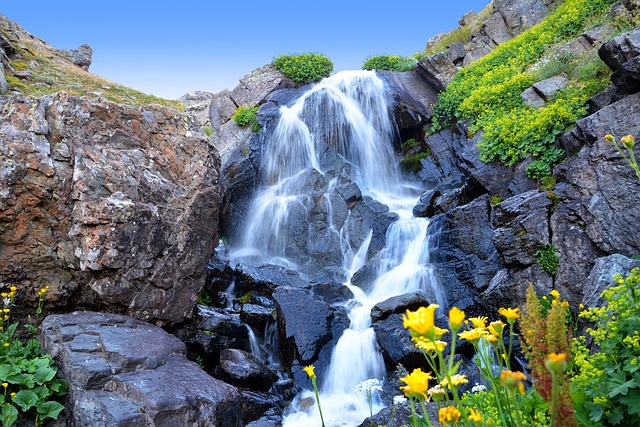 Valley of flowers waterfall | Ref Image
